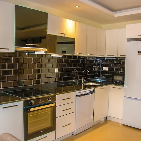 Brand New Penthouse Duplex With Sea View Avsallar